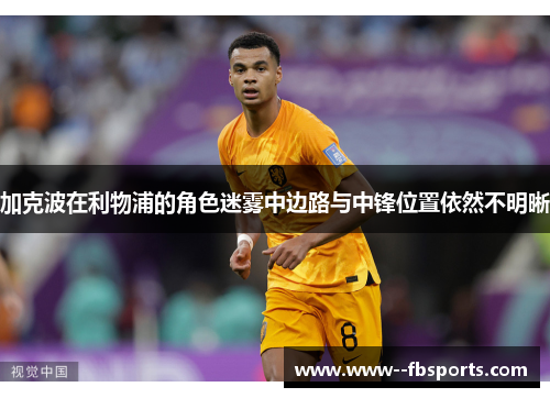加克波在利物浦的角色迷雾中边路与中锋位置依然不明晰